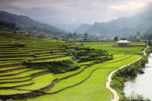 Coc Ly Market 3Days 4Nights Sapa Tour-1night home stay and 1night hotel